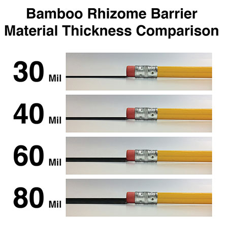 Picture showing the different thicknesses of bamboo barrier