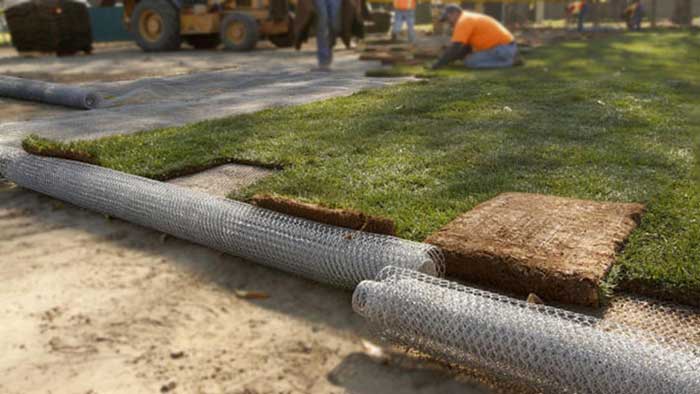 Gopher Wire Rolls installed under grass sod
