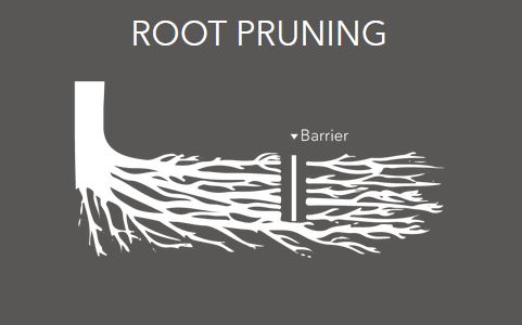 DeepRoot UB-48-2 installed as a linear barrier near pavement
