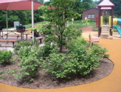 UB-12-2 root barriers installed within a planter