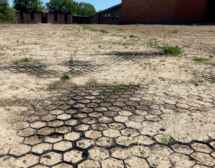Grass starting to grow through NDS EZ Roll Grass Pavers