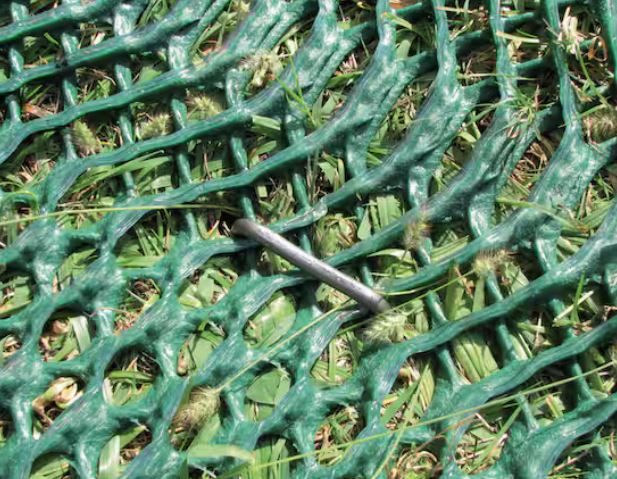Ground reinforcement in an active grass parking area
