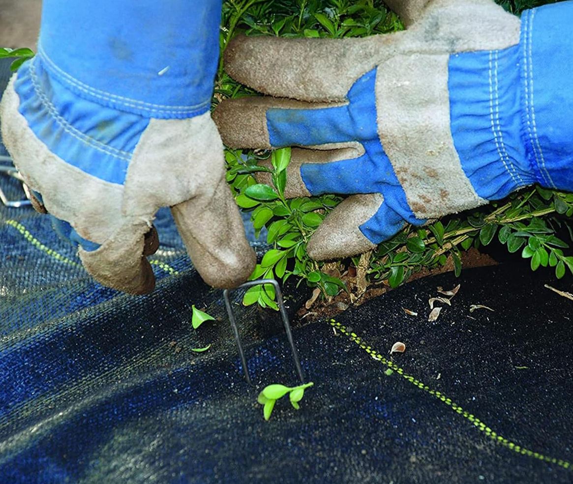 Securing weed barrier fabric with landscape staples