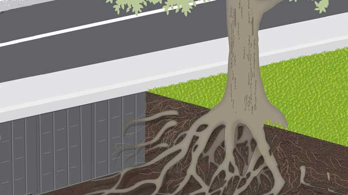 Konijn Peer Tussendoortje Tree Root Barrier for Containing Tree Roots